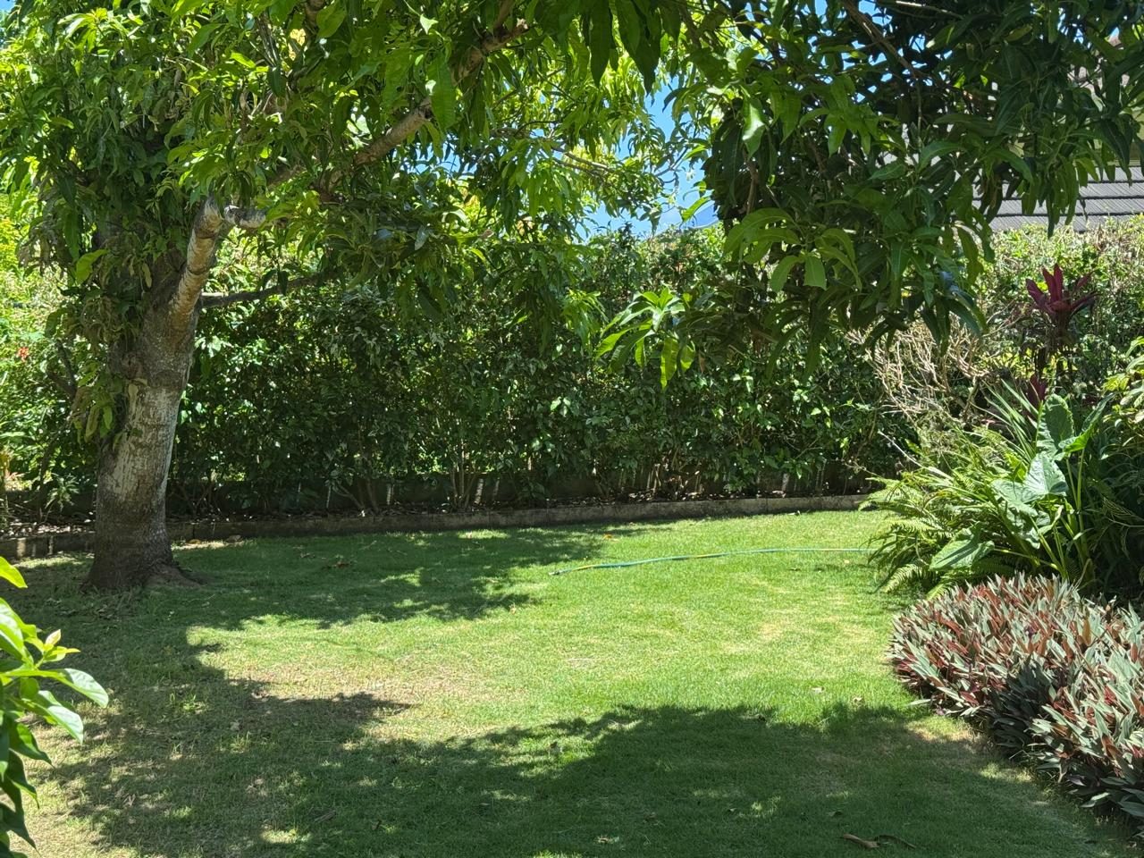 The backyard garden at Richmond Retreat